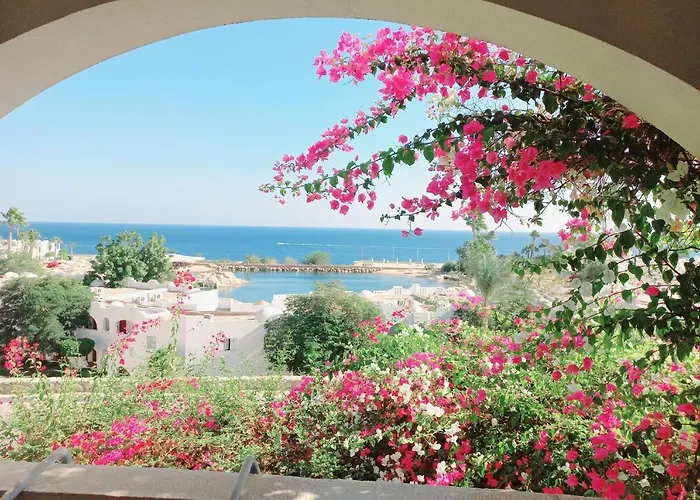 Domina Coral Bay - Salt & Sea View