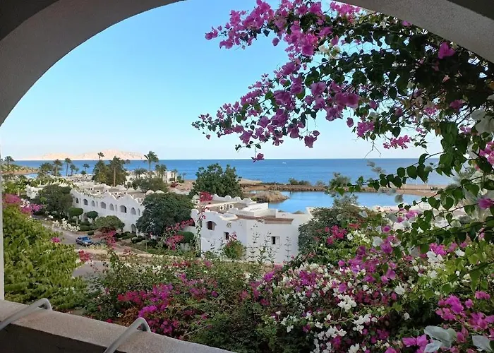 Domina Coral Bay - Salt & Sea View 5*